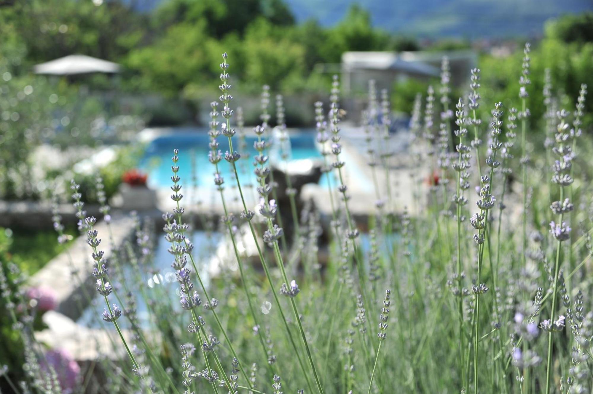 Pool House Maslina Apartment โมสตาร์ ภายนอก รูปภาพ
